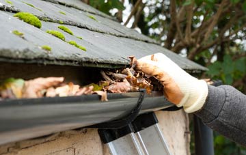 gutter cleaning Benvie, Angus