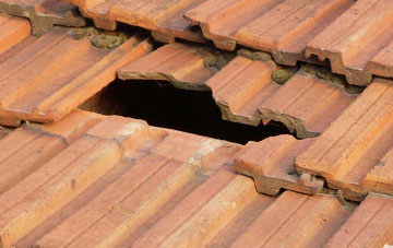 roof repair Benvie, Angus